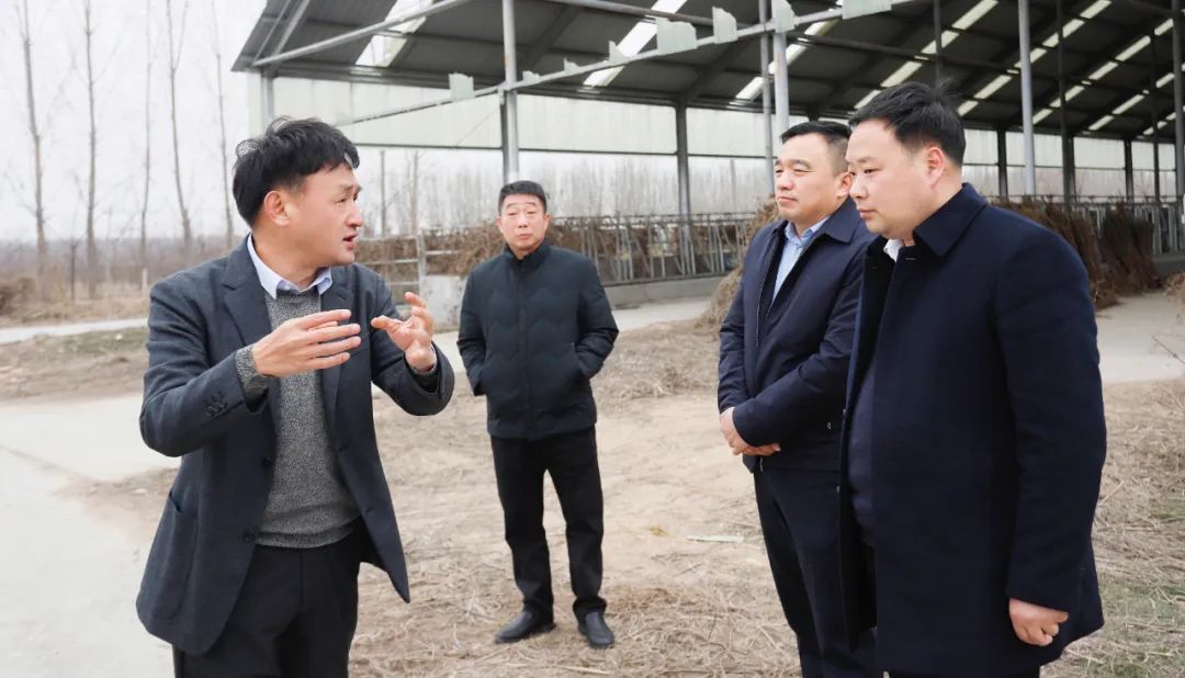 發(fā)揮產(chǎn)業(yè)優(yōu)勢(shì) 助力鄉(xiāng)村振興 | 民權(quán)縣委副書(shū)記、縣長(zhǎng)王靜嫻會(huì)見(jiàn)關(guān)曉彥董事長(zhǎng)一行