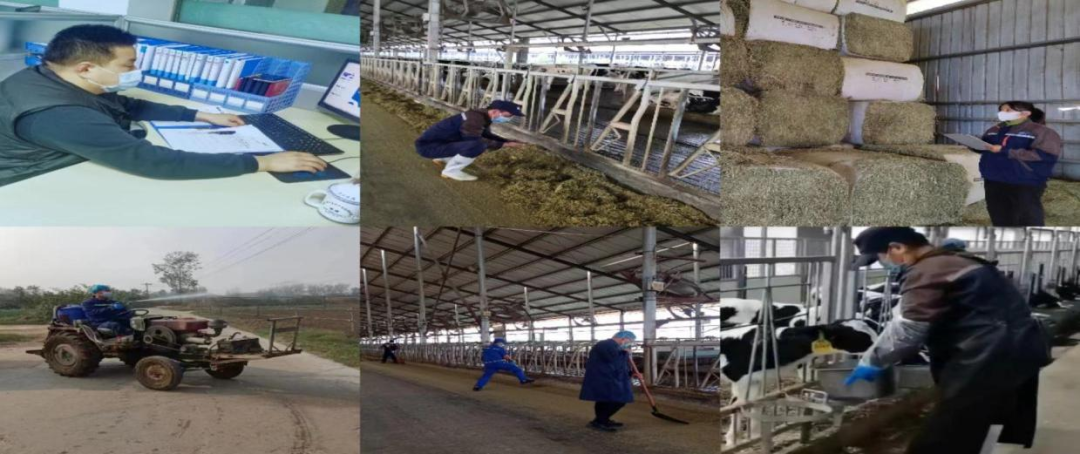 @全體花花牛人：請珍惜你的崗位，請善待我們共同的“花花牛”！