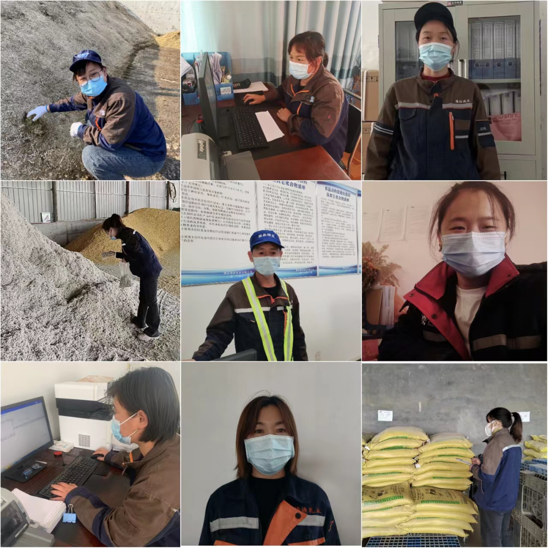 花花牛丨點點微光匯星河——養殖事業部抗疫保生產側記 花花牛丨點點微光匯星河——養殖事業部抗疫保生產側記