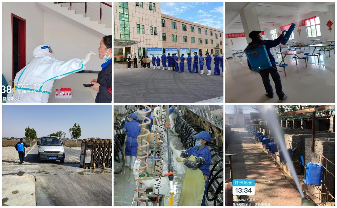 抗疫情、保供應、顯擔當——花花牛在行動!!! 抗疫情、保供應、顯擔當——花花牛在行動!!!