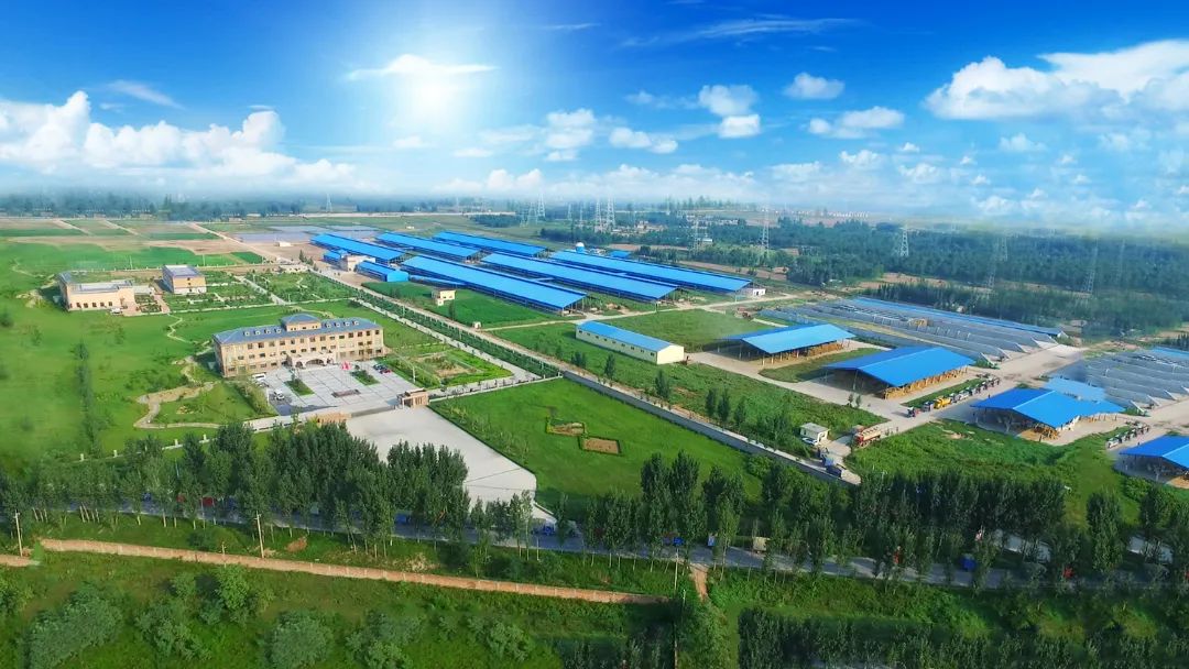 花花牛 | 河南瑞亞牧業入選“河南省畜禽核心育種場” 花花牛 | 河南瑞亞牧業入選“河南省畜禽核心育種場”