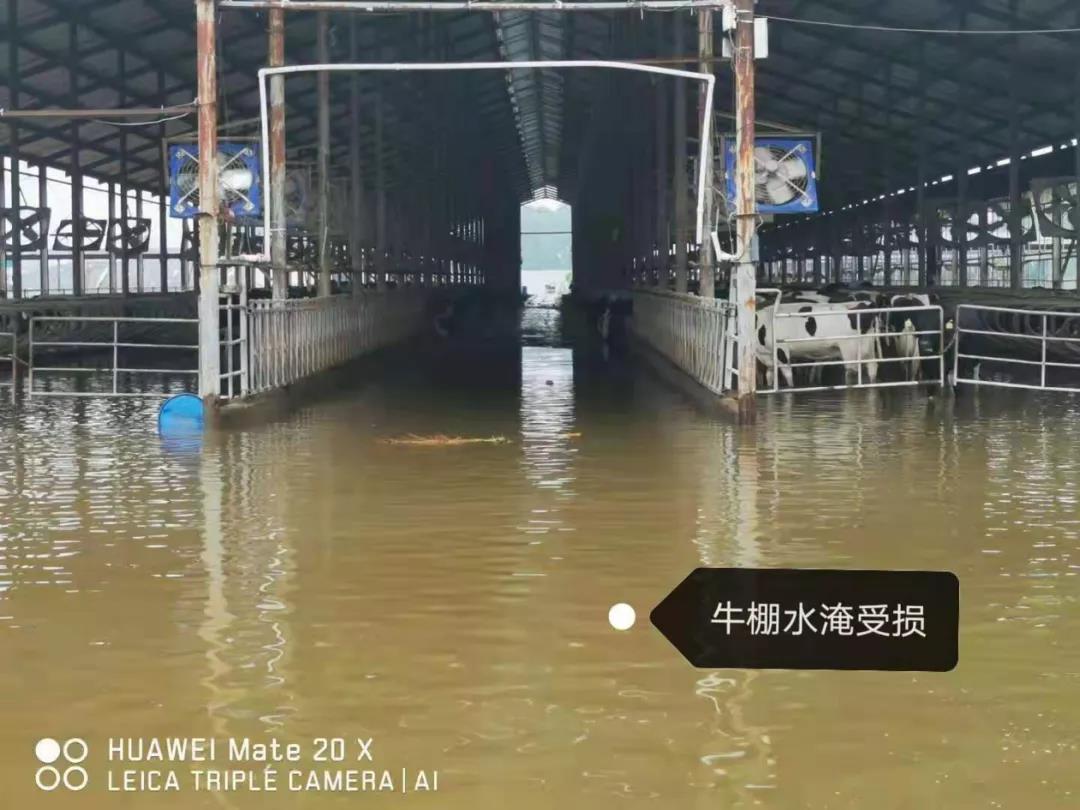 【乳報·聚焦】“豫”難而上的中原牛人“太中了”! 【乳報·聚焦】“豫”難而上的中原牛人“太中了”!