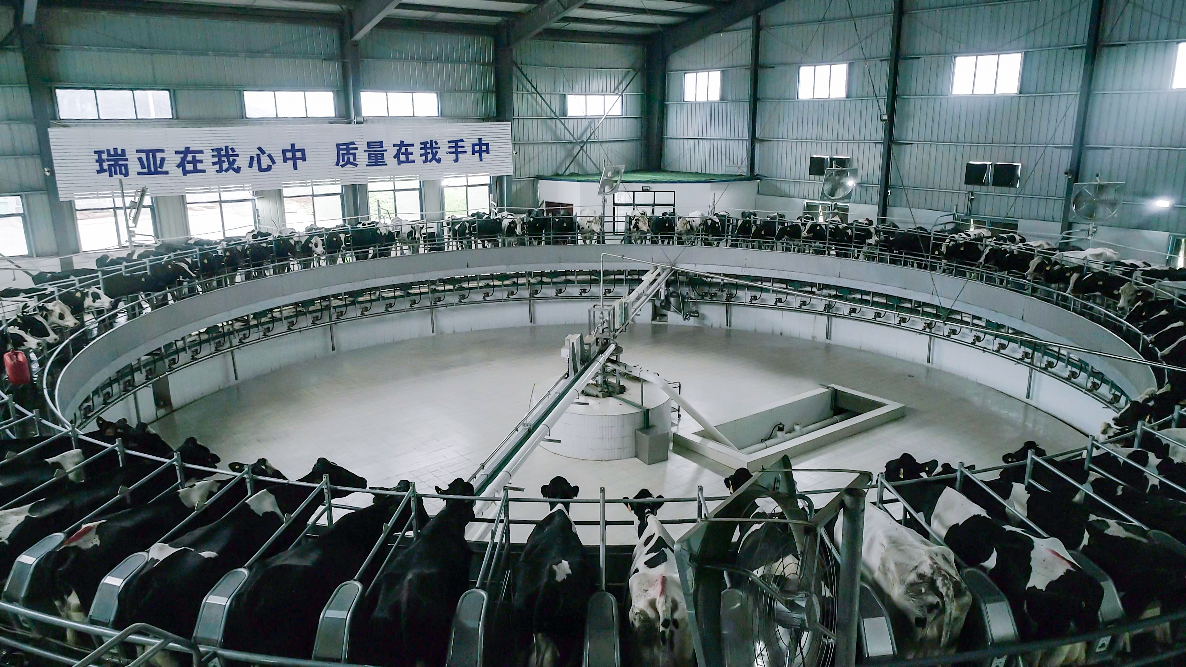 春風(fēng)吹 戰(zhàn)鼓擂——不負春天好時光