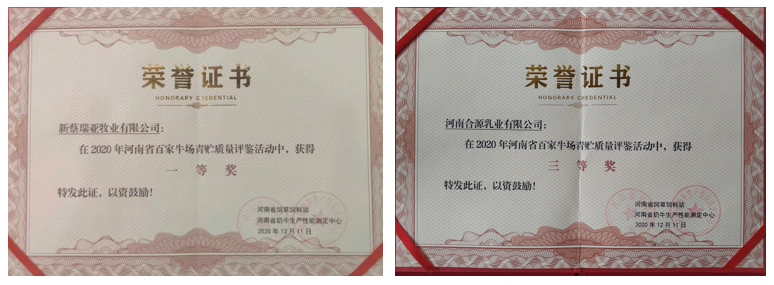 榮譽 | “百家牛場青貯質量評鑒活動”花花牛新蔡瑞亞牧業、河南合源乳業分別榮獲一、三等獎