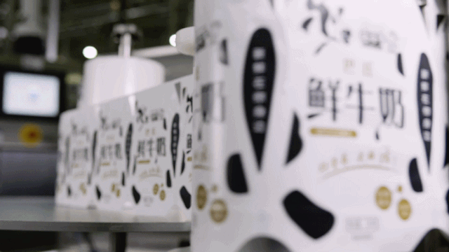 快訊 | 長江商學院智能制造學會走進花花牛乳業集團 快訊 | 長江商學院智能制造學會走進花花牛乳業集團