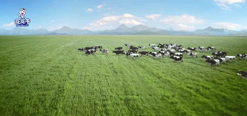 快訊 | 湖北省農業廳副廳長王海濤等領導一行蒞臨河南花花牛乳業集團參觀調研