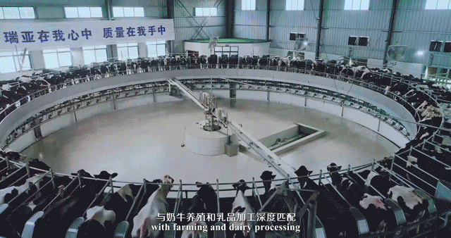 快訊 | 湖北省農業廳副廳長王海濤等領導一行蒞臨河南花花牛乳業集團參觀調研