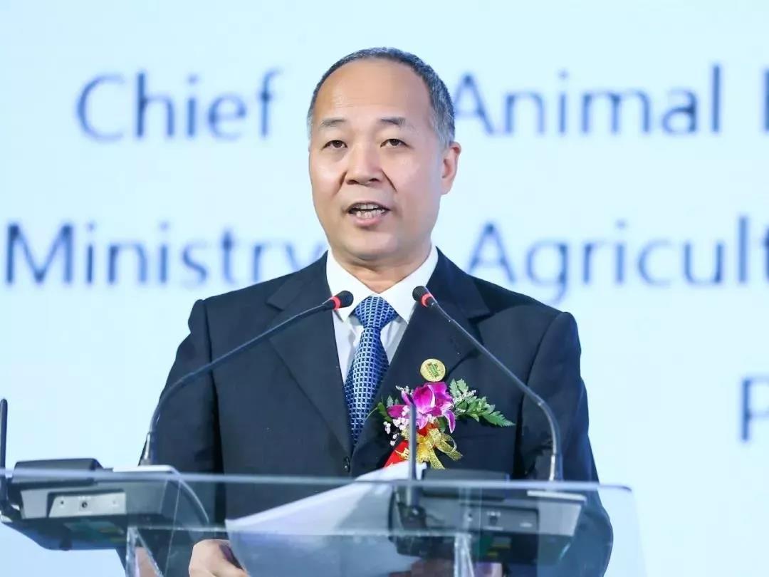 SDDDC走進河南,看看花花牛的國際范兒! SDDDC走進河南,看看花花牛的國際范兒!