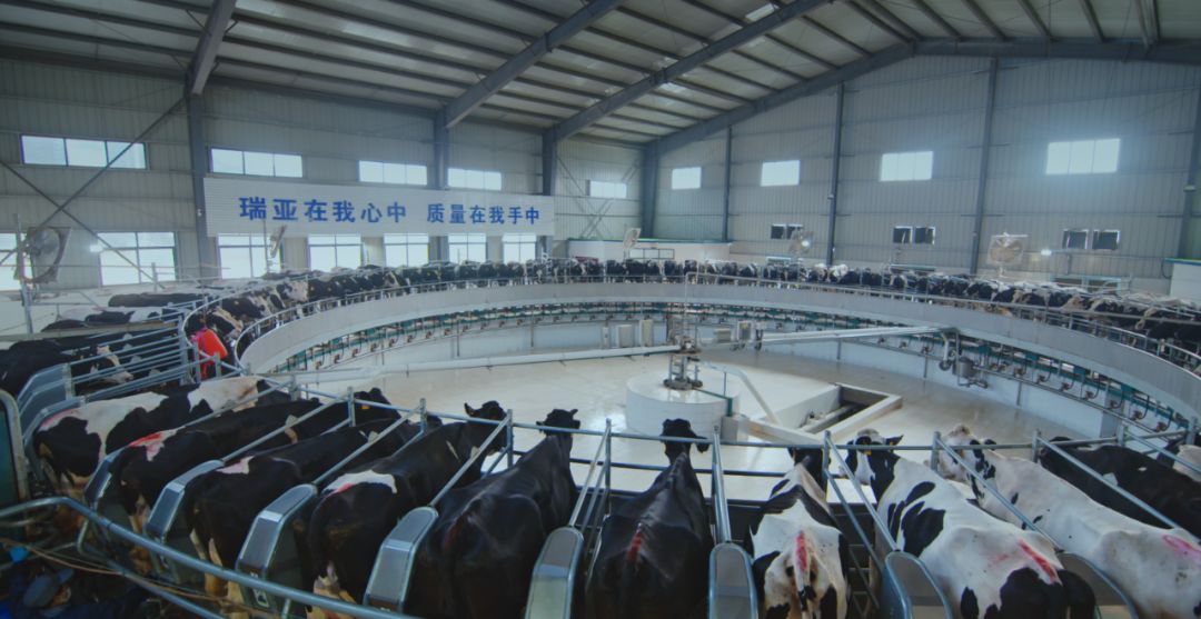 花花牛集團旗下六家公司入選省農業產業化重點龍頭企業名單