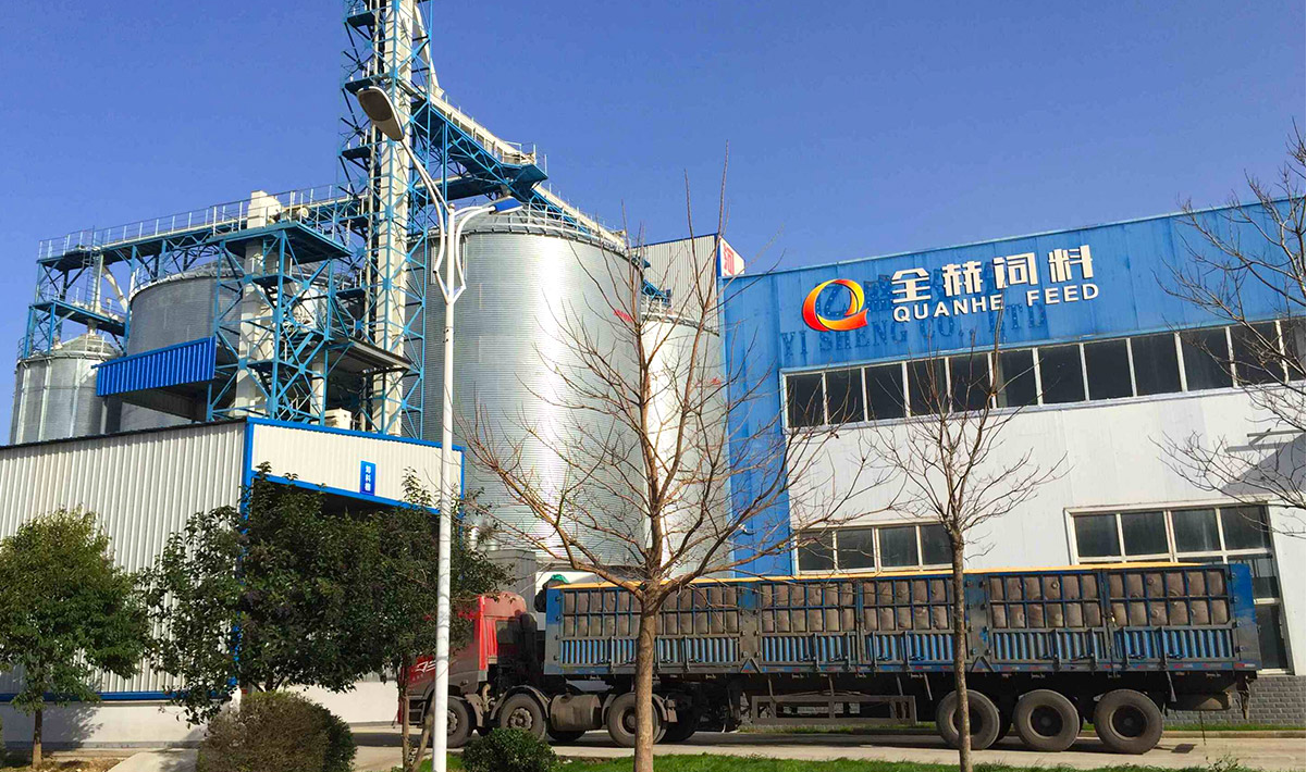 1735267569123145.png image.png