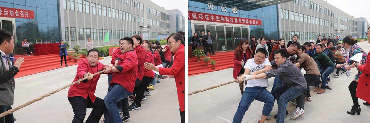 河南花花牛生物科技有限公司舉辦2016年春季運動會 河南花花牛生物科技有限公司舉辦2016年春季運動會
