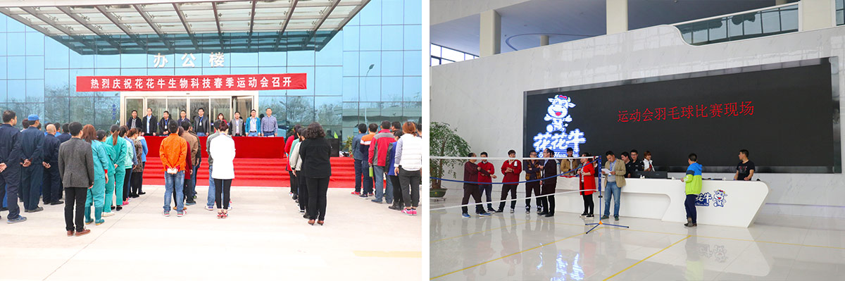 河南花花牛生物科技有限公司舉辦2016年春季運動會 河南花花牛生物科技有限公司舉辦2016年春季運動會