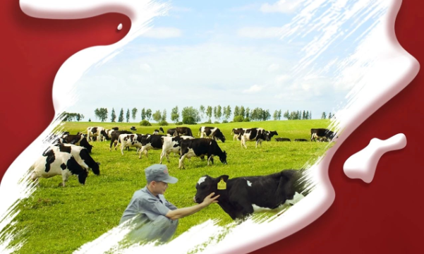 喜報！花花牛董事長關曉彥再獲”優 秀企業家”稱號